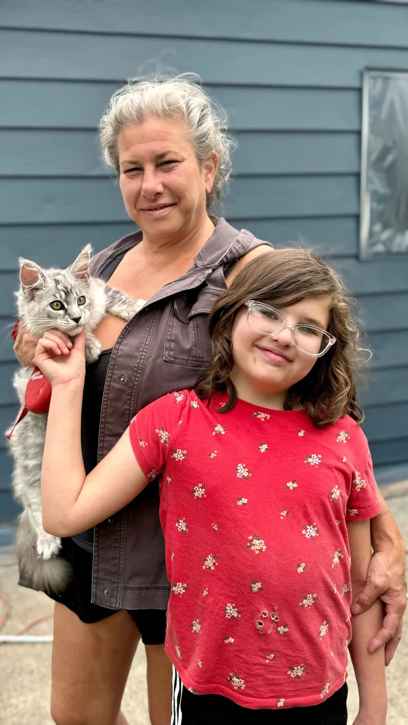 Maine Coon kitten for adoption information page