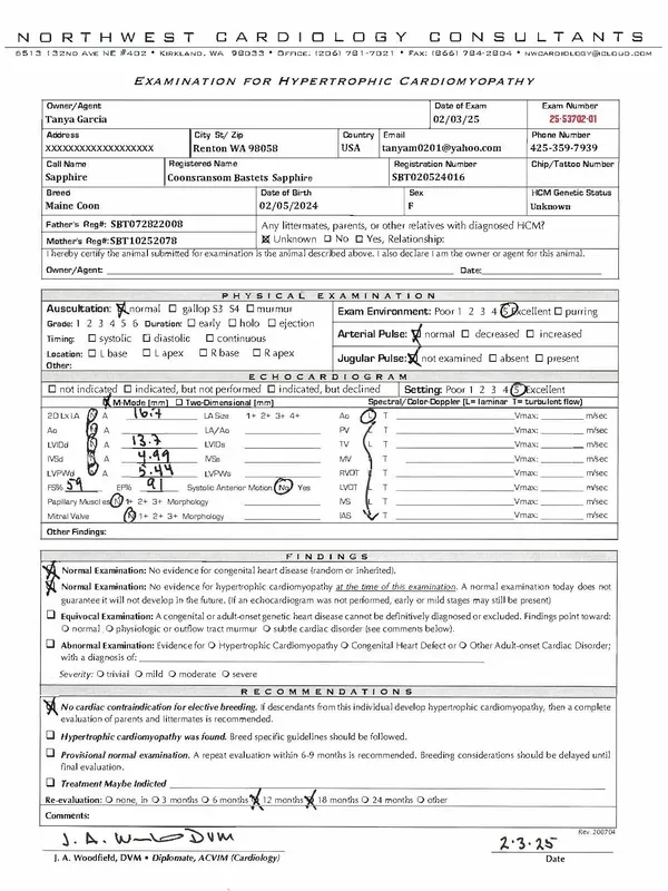 Heart Exam and Ecogram