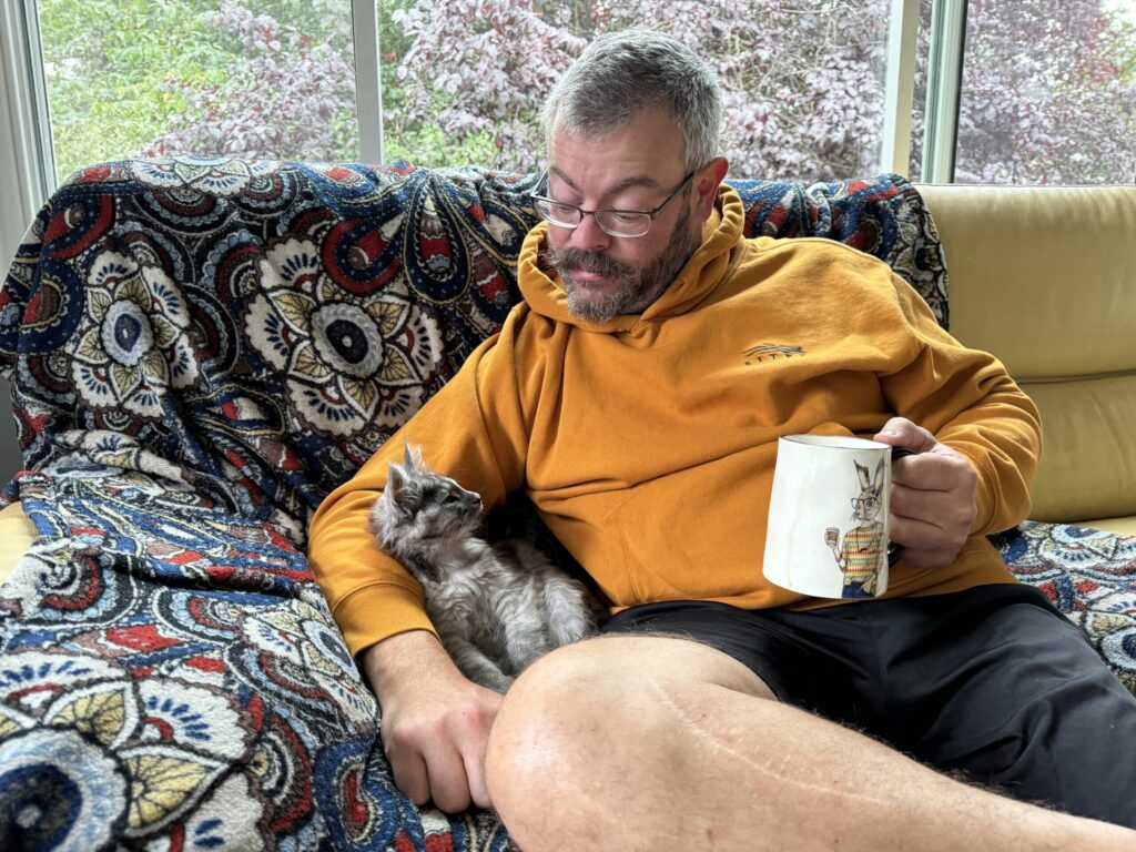 Maine Coon kitten available in Issaquah WA from Bastet Maine Coons