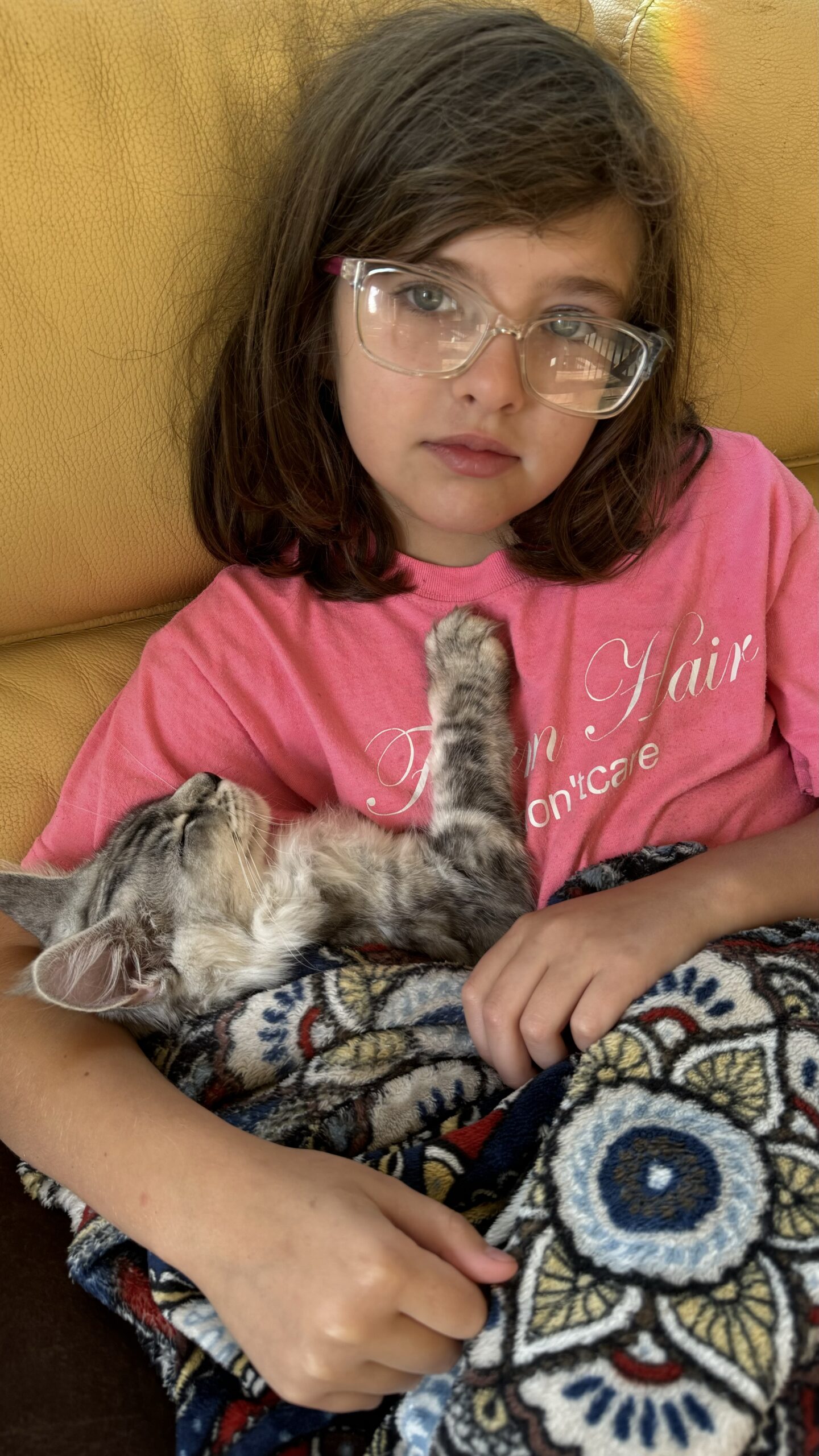 TICA registered Maine Coon breeder in Renton serving Washington